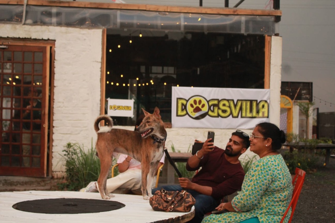 Furventures - Pet Adventures & Events - Photo 67